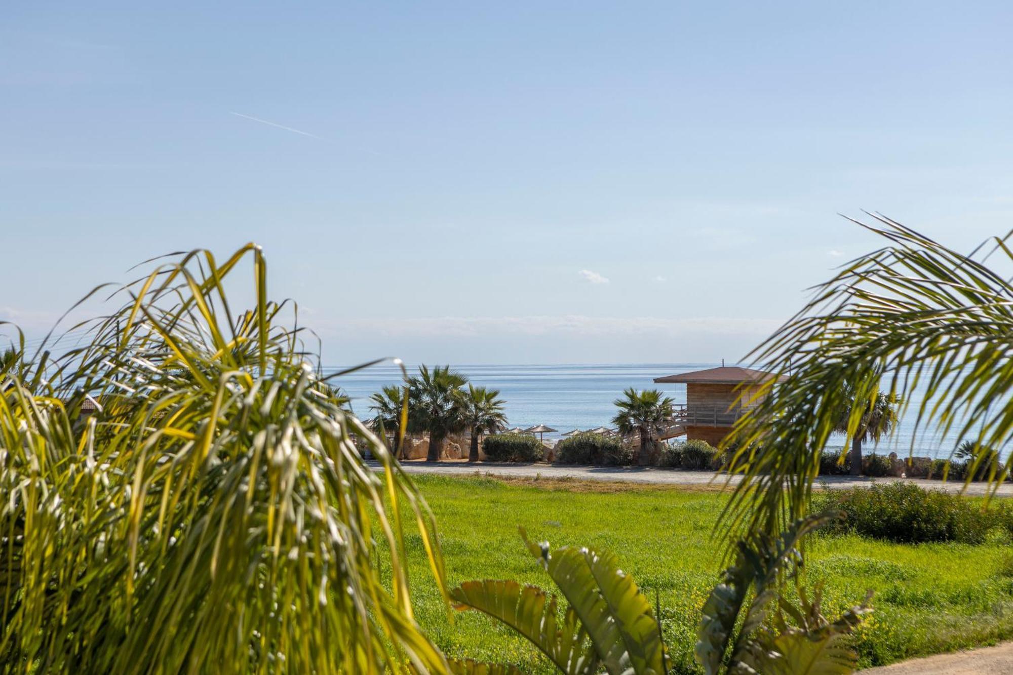 Willa Sweet Seaview *
